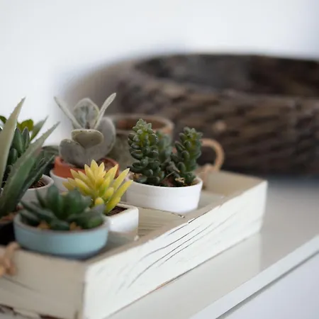 Penthouse With Terrace Cavour 26 Udine